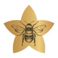 LOTUC Consulting logo - Similar company to You - Leveling You Up