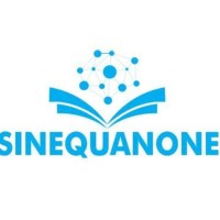 Sinequanone Formations & Conseils logo - Similar company to Innovatech Solutions Inc