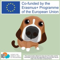 Beagle Project EU logo - Similar company to Beagle Project