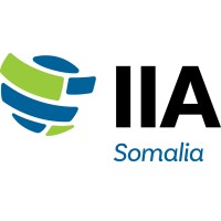 IIA Somalia logo - Similar company to Ogaal Solutions