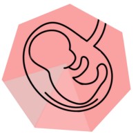LARHE Liga Acadêmica de Reprodução Humana e Embriologia logo - Similar company to Umbraco Developer