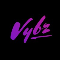 Vybz Digital logo - Similar company to Social Ads Scale