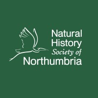 Natural History Society of Northumbria logo - Similar company to Tyneside And Northumberland Mind