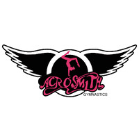 Acrosmith Gymnastics logo - Similar company to Audere Analytics