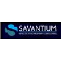 Savantium Ltd logo - Similar company to Savantium