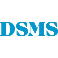 DSMS Group logo - Similar company to Webhealer