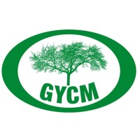 Global Youth Change Makers logo - Similar company to Gslsn Ai & Robotics 2030 Global Empowerment Course