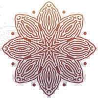 Soma Elixir Mushroom logo - Similar company to Somashrooms™