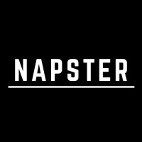 Napster Debuggers logo - Similar company to Napster Security