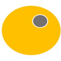 Luna Therapeutics Ltd logo - Similar company to 10th World Congress on Chemical Engineering, Material Science & Nanoscience