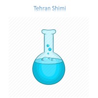 Tehran Shimi logo - Similar company to Radintech