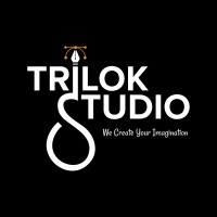 Trilok Studio logo - Similar company to Depicter