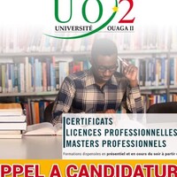 IUFIC /UNIVERSITÉ THOMAS SANKARA logo - Similar company to Rasipe Ong