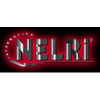 Nelri Comercio E Servicos De Informatica logo - Similar company to Letzplay_App
