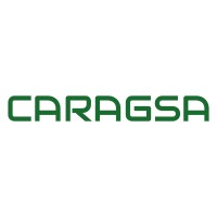 Caragsa Consulting logo - Similar company to Vigyaa Softechnologies