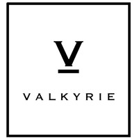 VALKYRIE logo - Similar company to Panhwar Jet