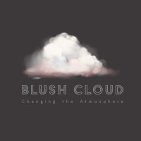 Blush Cloud logo - Similar company to Transformational Energy