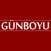 Günboyu Gazetesi logo - Similar company to Infodemilab
