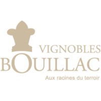 SCEA du Vieux Puit, Vignobles Bouillac logo - Similar company to Sauska