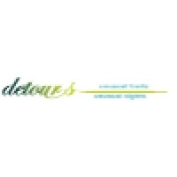 Detours India logo - Similar company to Powerfulife