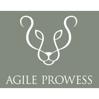 Agile Prowess logo - Similar company to Arclight Agile