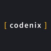 Codenix logo - Similar company to Codenix Infotech