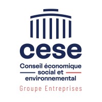 CESE - Groupe Entreprises logo - Similar company to Lisis
