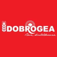 Dobrogea Grup logo - Similar company to Paste Băneasa
