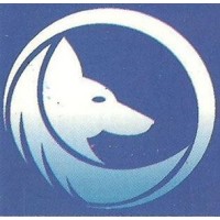 BlueFox MediaWorks logo - Similar company to Maximatelecom Jsc