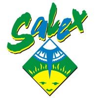 SALEX GAMING BRAZIL logo - Similar company to Luckee Software