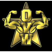 Ohio Valley Wrestling logo - Similar company to Futurexi