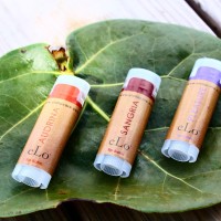 eLo Vegan Lifestyle logo - Similar company to Leff & Associates