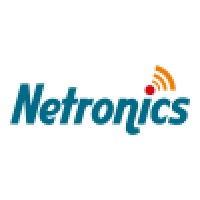 Netronics logo - Similar company to Ephenomena