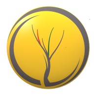 My Pulse In Africa logo - Similar company to Timo