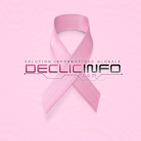 DECLIC INFO logo - Similar company to Winide