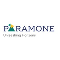 Paramone Business Advisory logo - Similar company to Mis Innovate