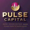 Pulse Capital logo - Similar company to Pulse Capital Partners, Llc