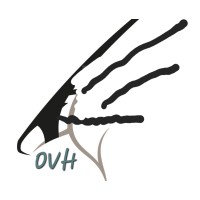 Oryx Vision Holding LLC logo - Similar company to Isham Holding