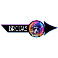 BRIGIDAS logo - Similar company to Smart Jade Tech Pte. Ltd.