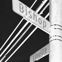 Bishop Linville