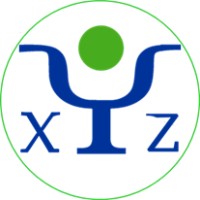 XYZ CONSULTORIA - Excelencia Operacional logo - Similar company to Empresa Xyz