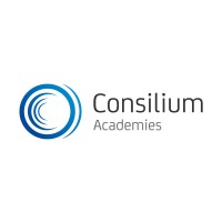 Consilium Academies logo - Similar company to The Pearson National Teaching Awards