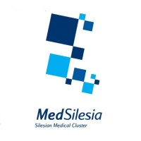 MedSilesia Cluster - Silesian Medical Devices Network logo - Similar company to Toteminteractive
