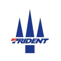 TRIDENT MOTORSPORT logo - Similar company to Arc-Team Engineering