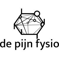 De Pijn Fysio logo - Similar company to Syringegrip