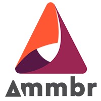 Ammbr Foundation logo - Similar company to Ammbr Limited