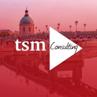 TSM Consulting logo - Similar company to Genius Tsm