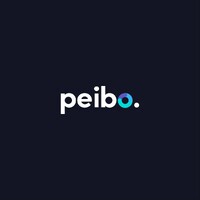 Peibo Fintech logo - Similar company to Konectagpt