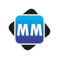 Molusi Mokgosi Professional Accountants logo - Similar company to Sappas