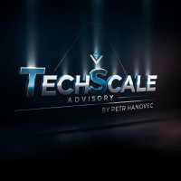 TechScale Advisory logo - Similar company to Trusted Network Solutions